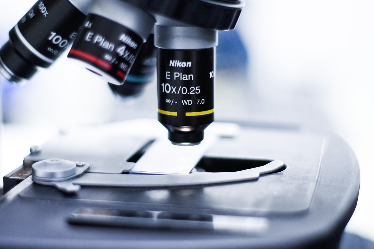 圣皇国际详情下载教程app的网页源码详情下载教程