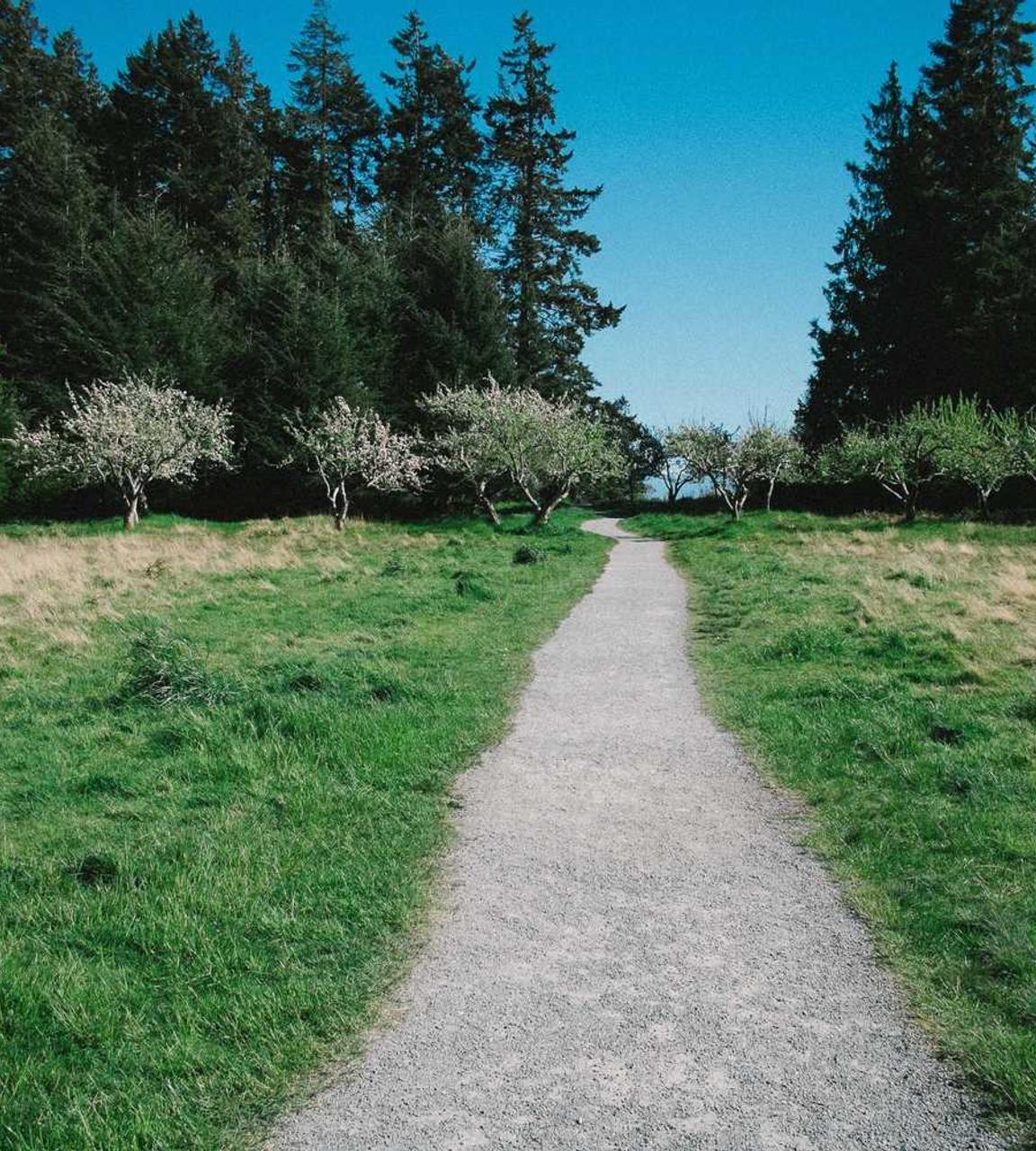 万宝路黑冰双爆珠:详情下载教程12123app软件